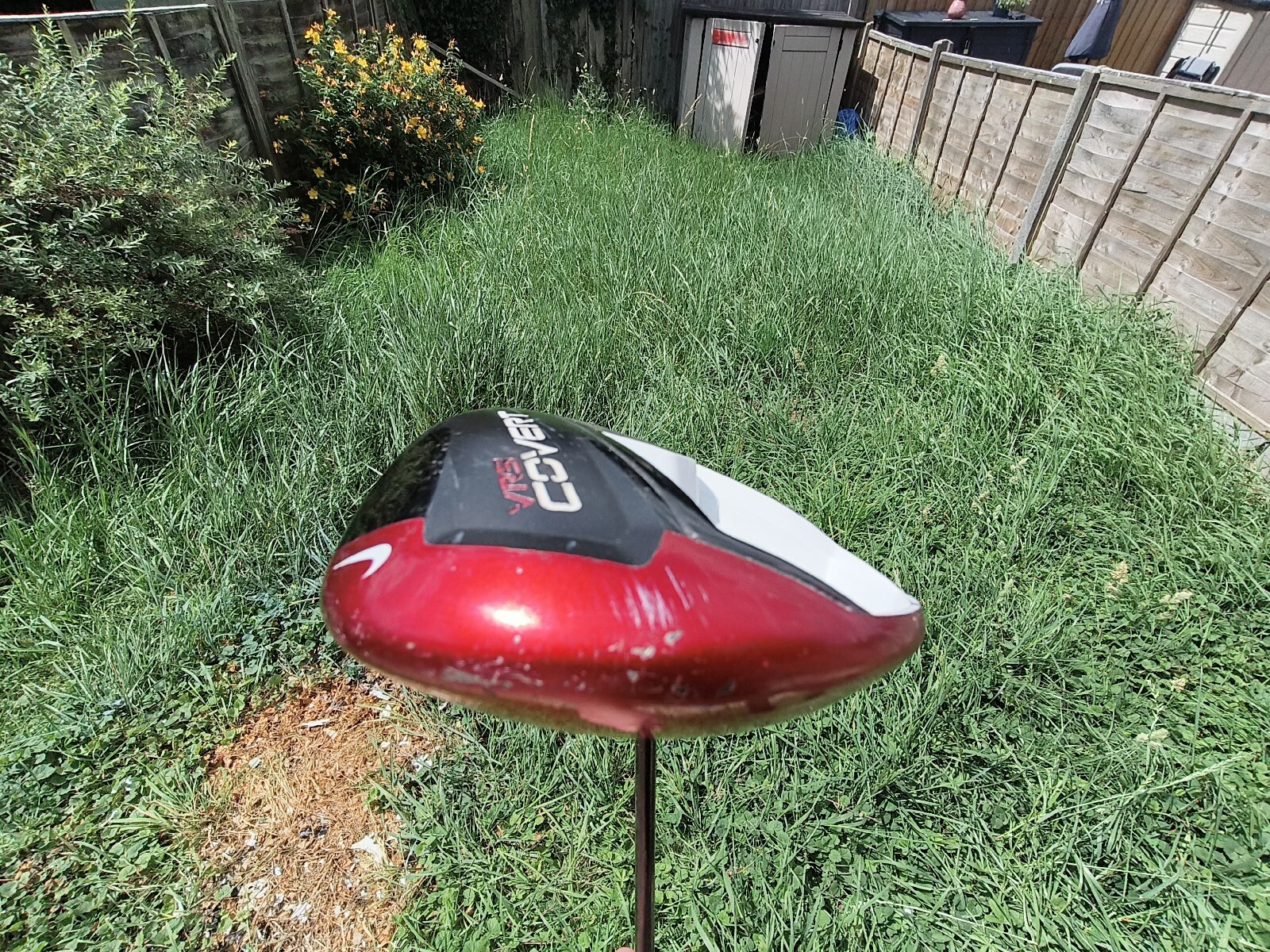 Picture 7 of 21