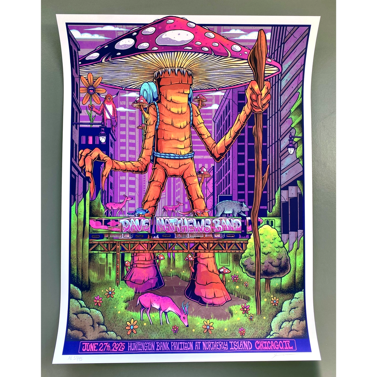 REAL* Dave Matthews Band Chicago Concert Poster AE x/95 Jim Mazza