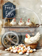Fresh Eggs | A4 Rice Paper | Paper for Decoupage | Decoupage Central