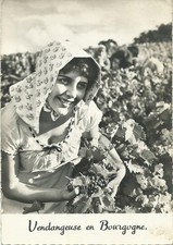 CARTE POSTALE ANCIENNE VENDANGES  :  VENDANGEUSE BOURGUIGNONNE
