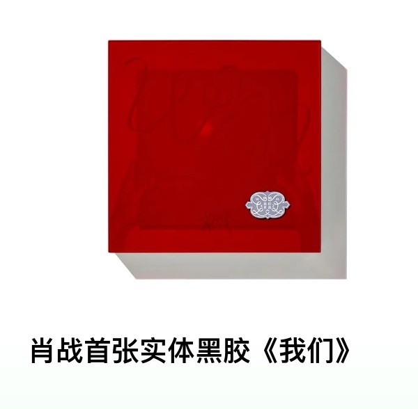 XiaoZhan  肖战  我们 LP アルバム Xiao Zhan Music Vinyl Album 肖战专辑《我们》NEW, Available