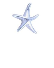 Starfish Sterling Silver Necklace Pendant Nautical Ocean Beach Jewelry Gift