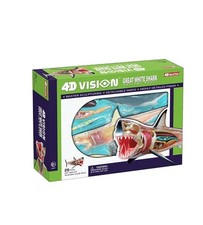 4D Vision Great White Shark Anatomy Model 20 Parts w Stand  Illustrated Guide B