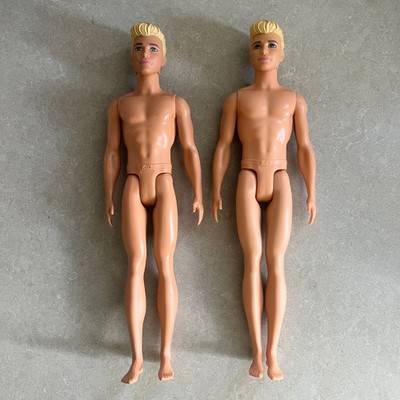 2016 & 2018 2 Barbie Fashionistas Ken Dolls Nude