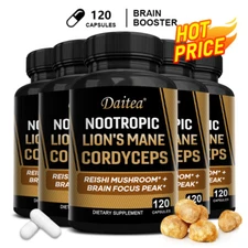 NOOTROPIC LION'S MANE CORDYCEPS extract Capsules-Healthy Brain&memory Supplement