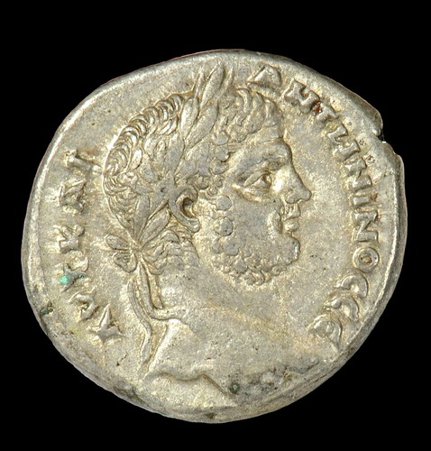 PHOENICIA, CARACALLA SILVER BI TETRADRACHM 198 - 217 A.D., NGC GRADE CH XF - Picture 3 of 6