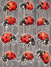 Ladybug Die Cut Vinyl Stickers Set Scrapbooking Laptop WaterBottle