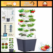 Glass Plants Propagation Station - Hydroponic Plant Holder with Test Tube Vases