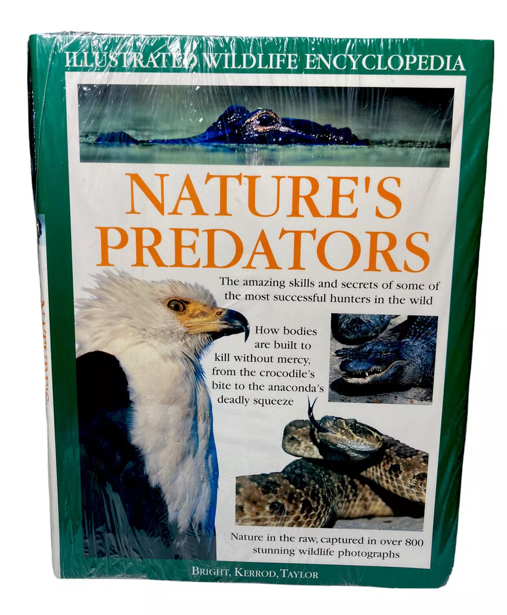 The Nature of Predators