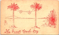 Postcard Humor The Very First Wash Day Fig Leaves Drying on Line