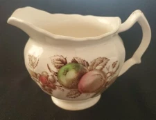 Johnson Brothers Harvest Time Creamer Browm Multicolor