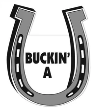 Pet Gifts USA Buckin' A  Horseshoe Magnet for Car or Trailer