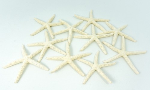 Starfish Decor Star Fish For Craft 10pk Real 23" White Sea Stars Beach Wedding D - Picture 6 of 7
