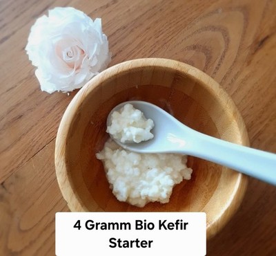 4g Bio Kefir Knolle/Kefirpilz DIY Milchkefir fermentieren Fermentations Starter