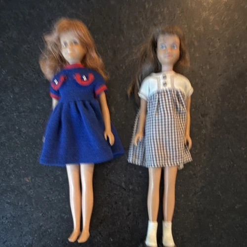 Mattel Skipper Fashion Doll Lot Blonde Brown Hair Outfits Accessories Vintage