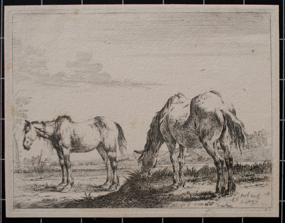 Dirk Stoop Pferde Tierstudie Goldenes Zeitalter Barock Orig Kupferstich 17 Jhd - Bild 4 von 4