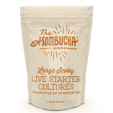 KOMBUCHA SCOBY 16 Ounce Bottle of Mature Probiotic Starter Tea - Makes 1 Gallon