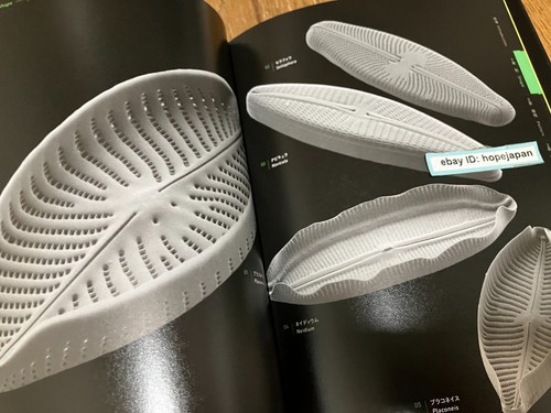 The Amazing World of Diatoms Photobook Visual Book - 第 6/7 張圖片