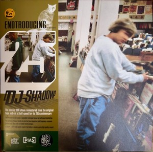 Dj Shadow Endtroducing Vinyl | eBay