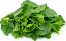 50+Green Malabar Spinach seeds MongToi Mu er cai Ceylon spinach Vine Spinach USA