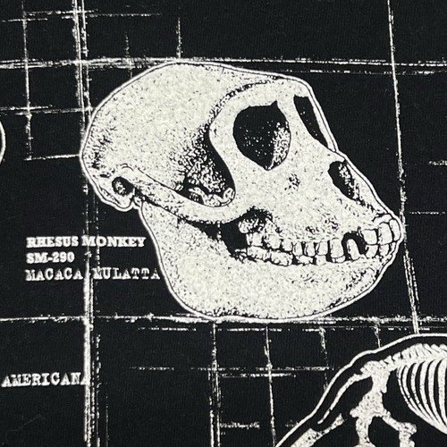 SKELETONS Museum of Osteology T-Shirt Mens Large Double-sided Graphic Skulls - Picture 5 of 18