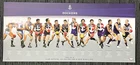 AFL FREMANTLE DOCKERS CAPTAINS ALL AUSTRALIANS DOIG MEDALLISTS Print - Fyfe