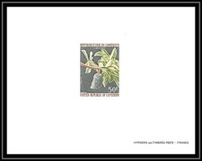 0028b Epreuve de luxe deluxe proof Cameroun N°557 fruit corossol (soursop fruit 