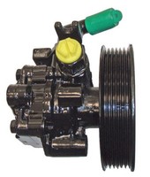 Lizarte Hydraulikpumpe Lenkung 44.76.0607-1 FüR Hyundai Tucson JM Crdi Allrad 2