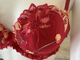 Lise Charmel Fleurs de Cerisier Cherry Embroidered Bra & Brief Set - Designer