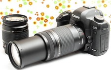 Canon 5D Mark II 208686