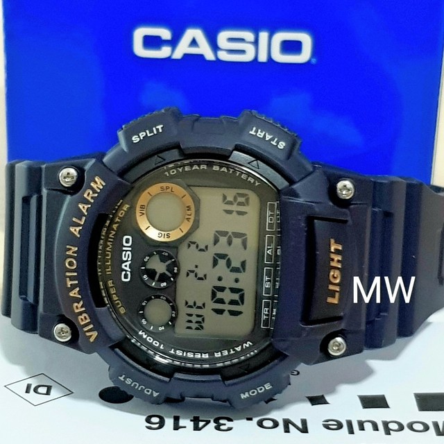 casio vibration