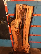 9988 1 3/4" THICK black line spalted maple live edge slab