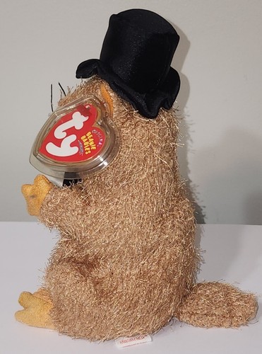 Ty Beanie Baby - PUNXSUTAWN-e PHIL 2004 Groundhog (Internet Exclusive) 7" MWMTs - Picture 3 of 6