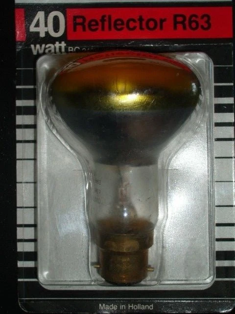 Philips 2024 spot 40w