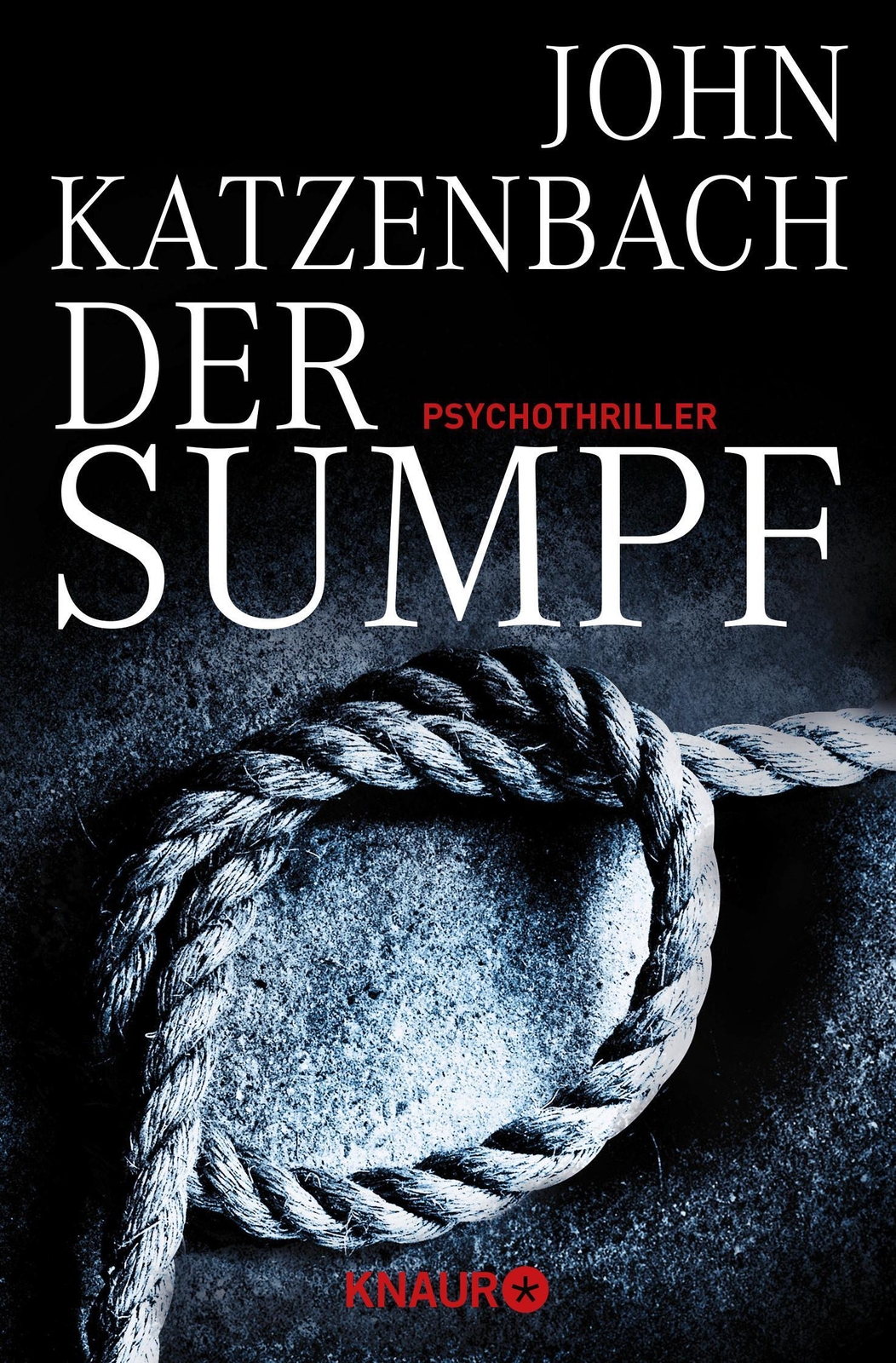 Thumbnail - Der Sumpf | John Katzenbach | Taschenbuch | 717 S. | Deutsch | 2013 |