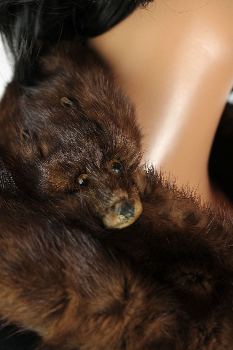 50s Mink Stole Vintage 3 Pelt Dark Brown Real Fur Whole 50s Mink Stole Vintage 3 Pelt Dark Brown Real Fur Whole