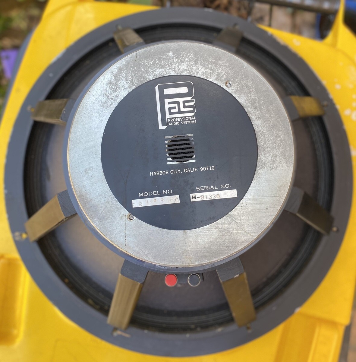 1X PAS Professional Audio System Subwoofer 18