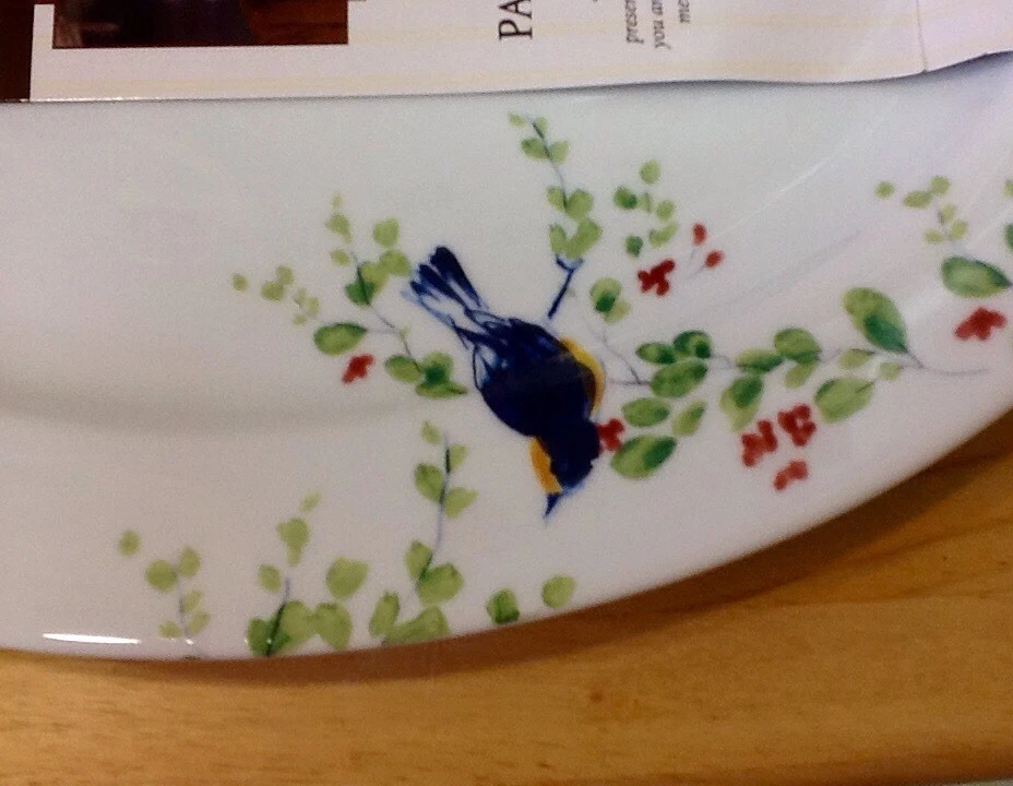 全新 Paula Deen 弹簧 MEDLEY 图案 14 英寸椭圆形餐盘 鸟花 — 第 4/4 张图片