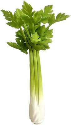 Artificial Celery with Leaves for Cabinet Showcase Decorat 1PCS