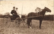 HORSE & BUGGY original real photo postcard rppc CARRIAGE c1910