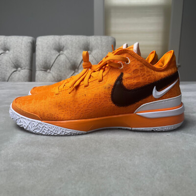 Nike Zoom LeBron NXXT Gen TB Promo 'Team Orange' Men's Size 14 RARE/UNRELEASED