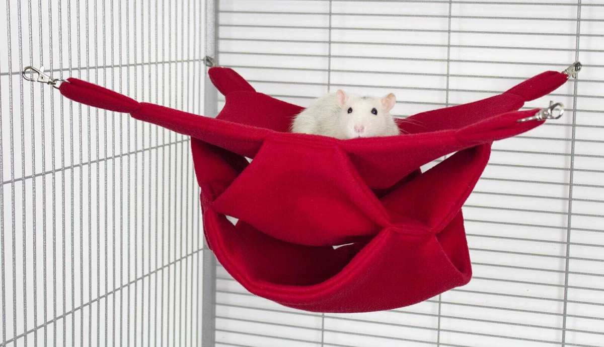 Ratten Hngematte online kaufen | eBay.de