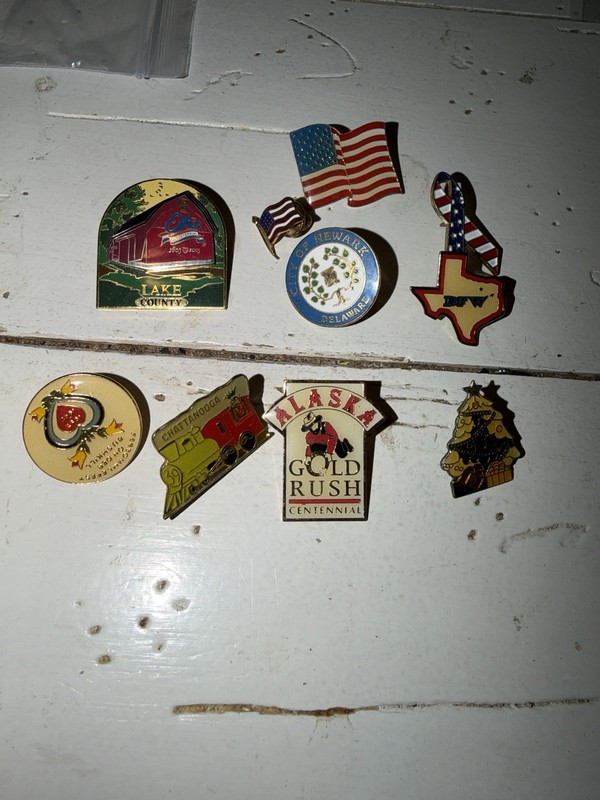 Lot of 10 Enamel Souvenir Pins USA Flags Alaska Gold Rush Chattanooga Newark DE