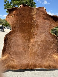 Thick Fluffy Red American Beef Cow Hide Professionally Tanned
