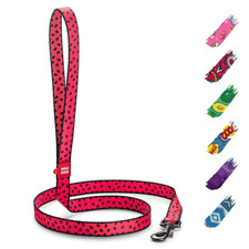 Nylon Dog Leash for Small Dogs and Medium Dogs 4 Ft  Strong Dog Leash for