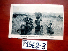 CARTOLINA IN TEMPO DI VENDEMMIA FRANCESCO GIOLI VIAGG. 1913 CON FRANC. (F15E2-3)