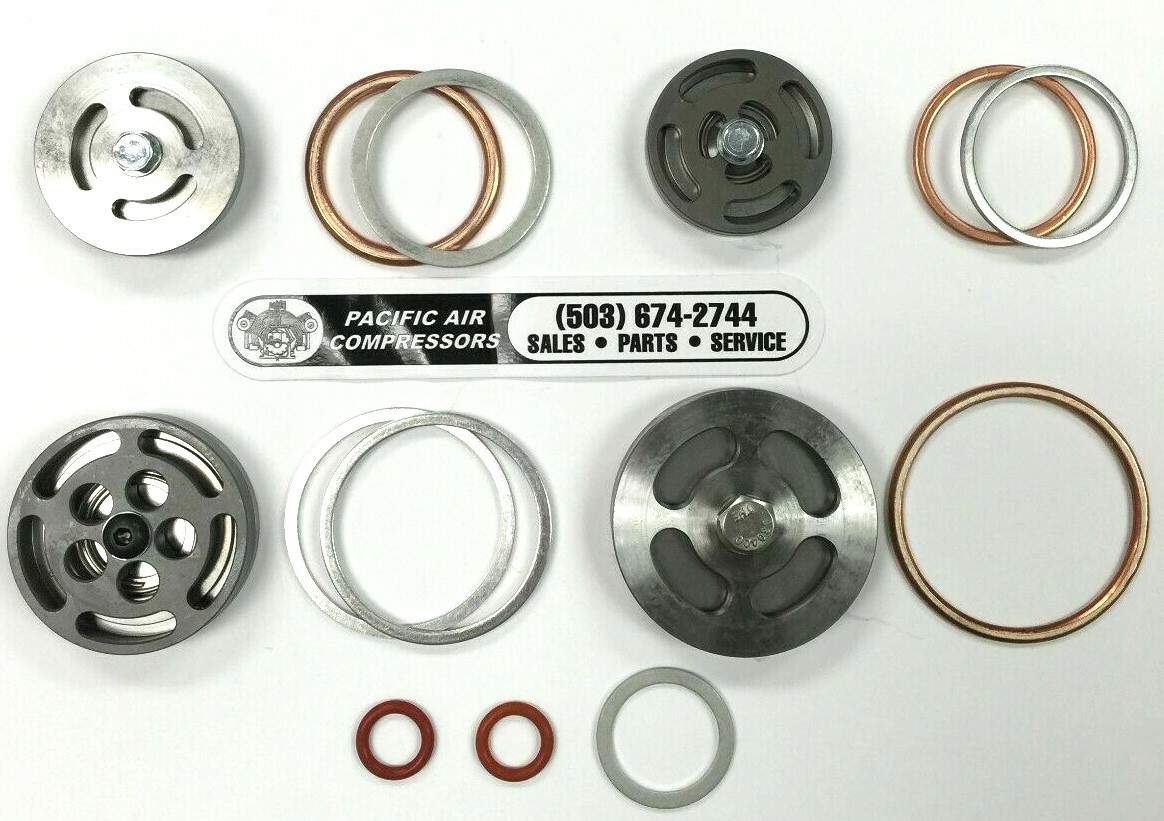 Z5155 CHAMPION COMPLETE VALVE KIT WITH GASKETS FOR R10D & R15 PUMP