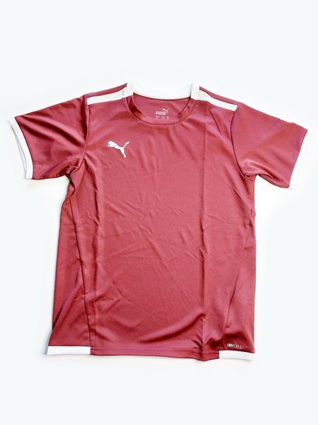 Puma Kinder Shirt Teamliga Jersey Jr T-Shirt Trikot Sportshirt FußBall Gr: 140-image