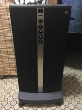 Karaoke player for cassettes and cartridges with microphone