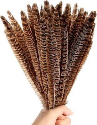 10PCS Natural Pheasant Tail Feathers 25-30cm DIY Crafts Wedding Decor